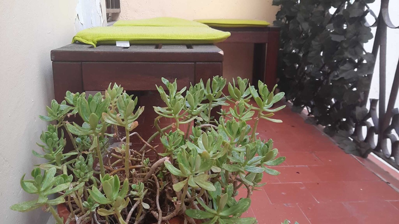 Photo of Outdoor in Palos de la Frontera