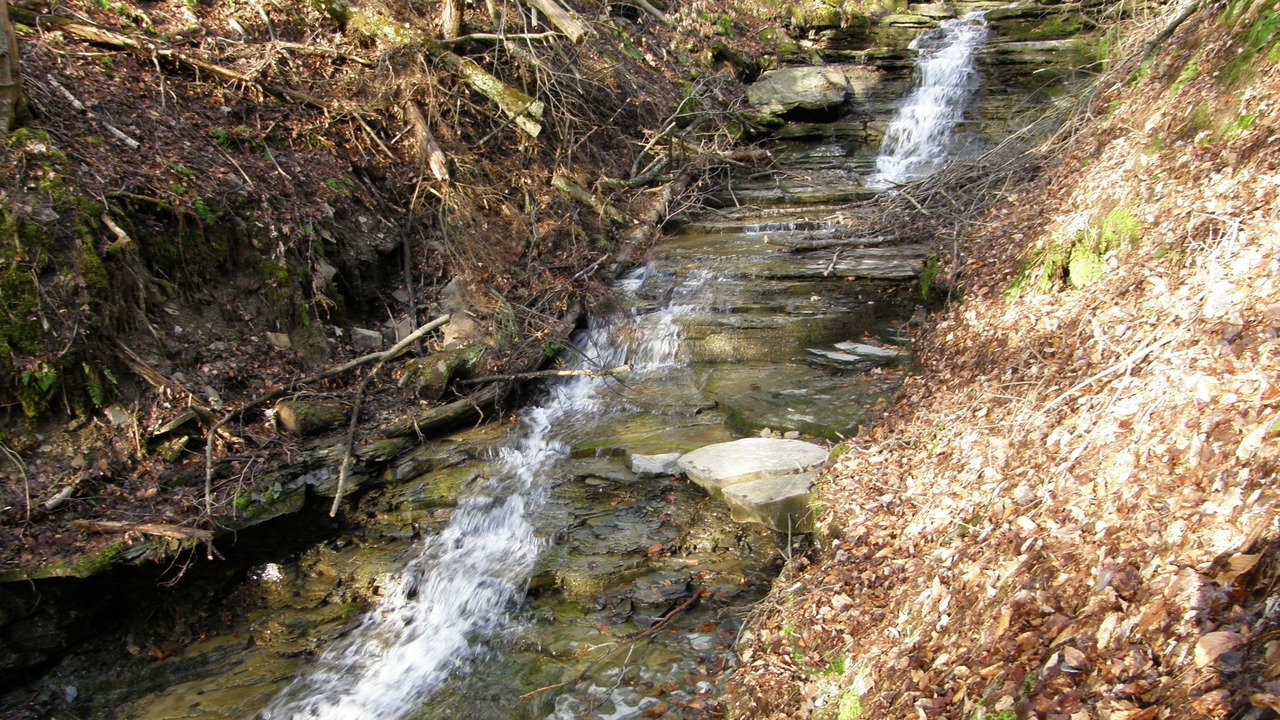 Photo of Others in Dalton