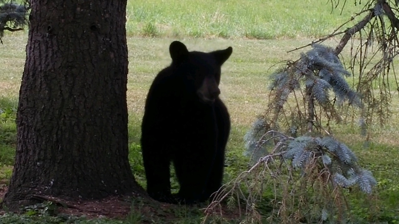 Photo of Others in Dalton