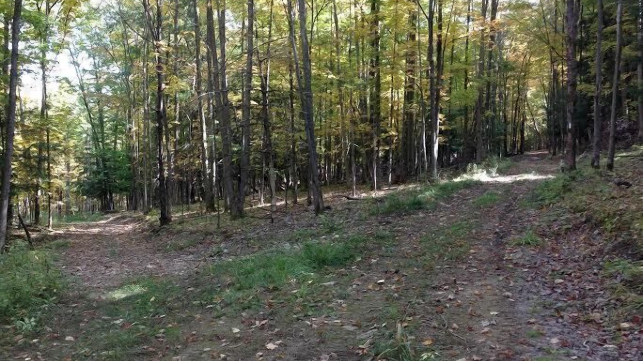 Photo of Outdoor in Dalton