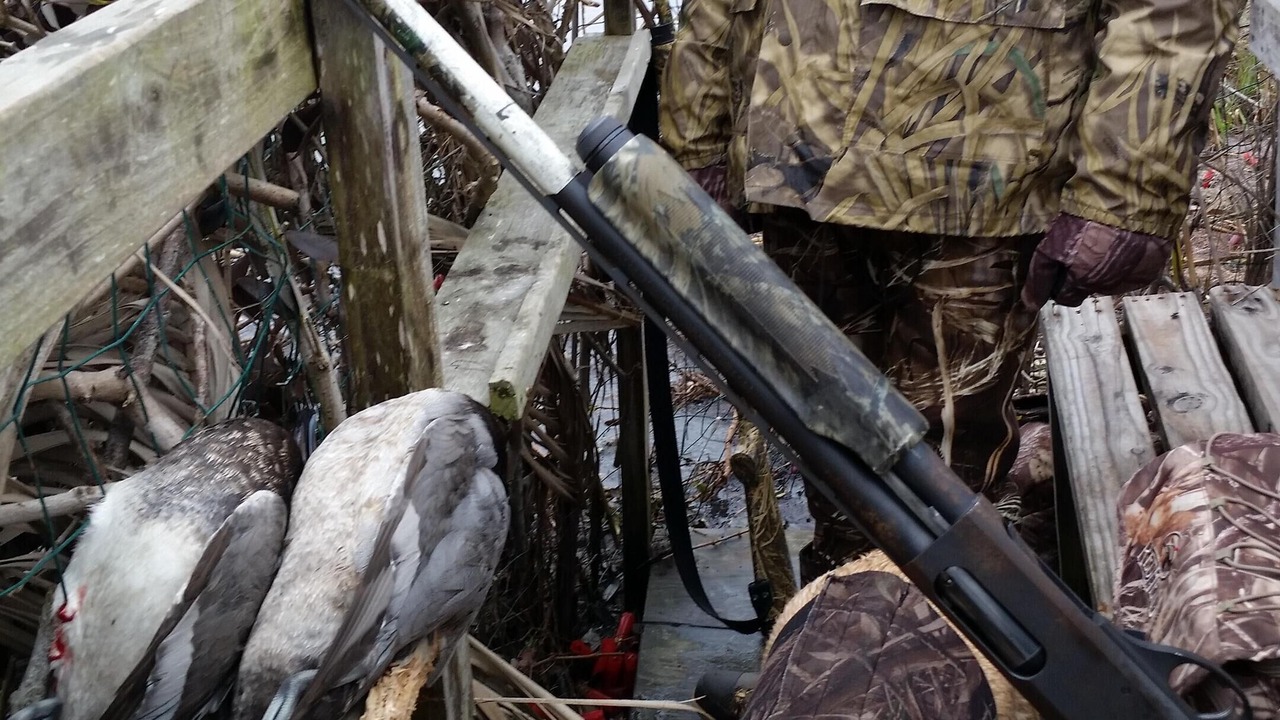 Photo of Outdoor in Long Mott