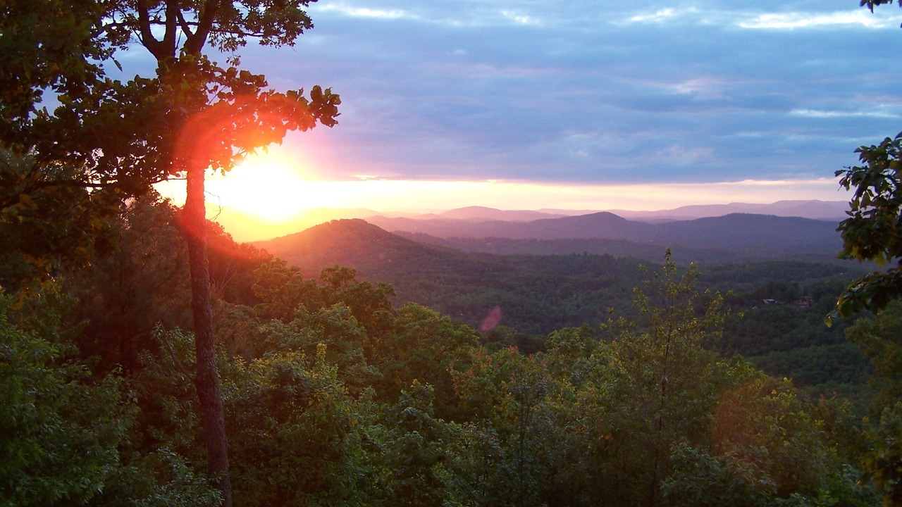 Photo of Others in Murphy
