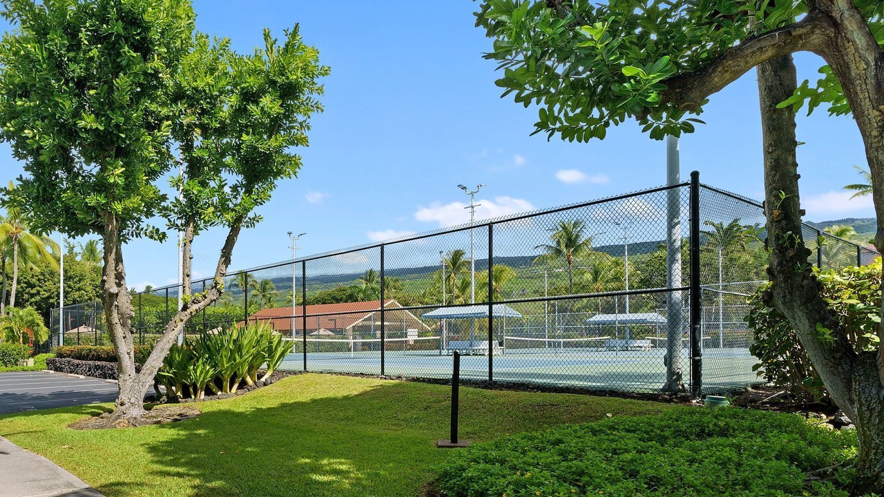 Photo of Others in Kahaluu Bay
