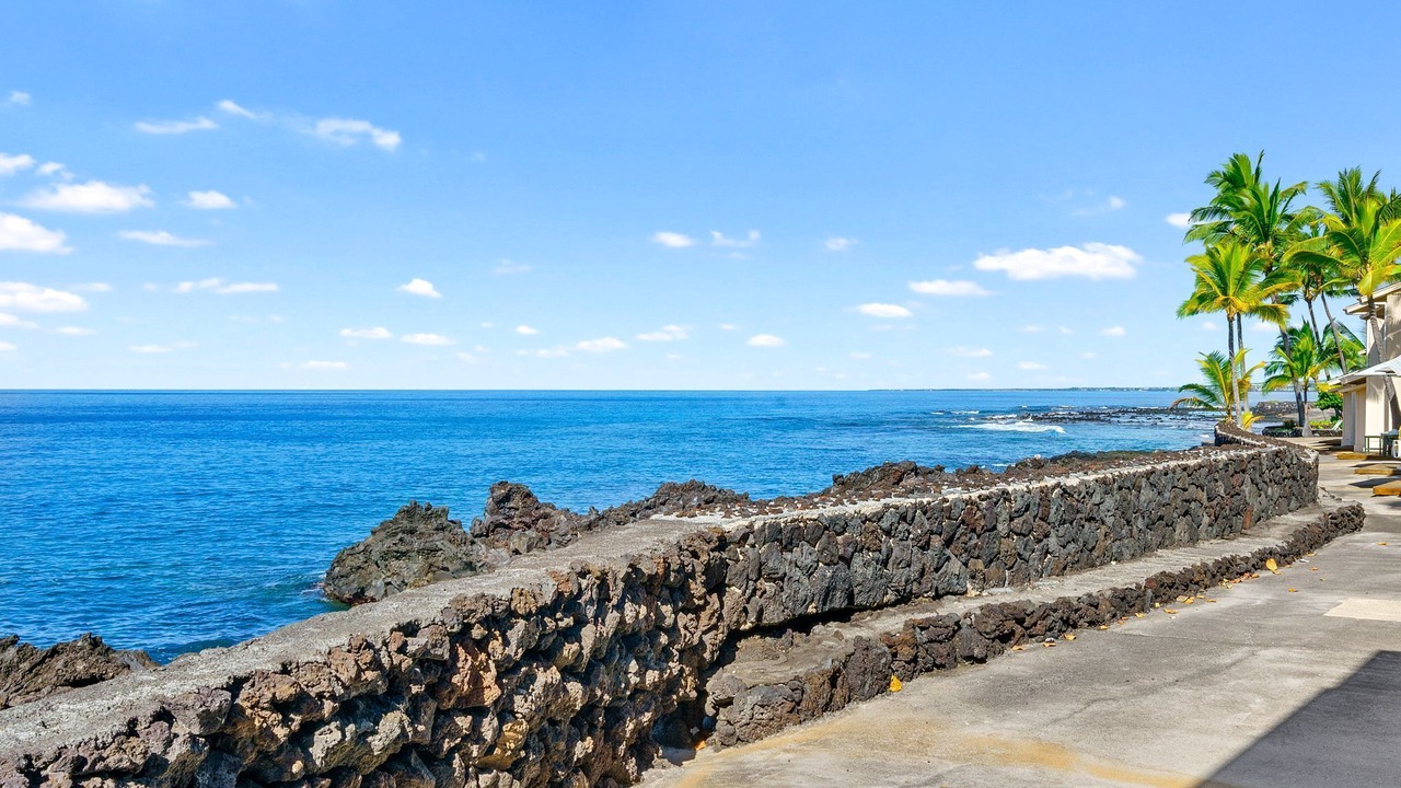 Photo of Others in Kahaluu Bay