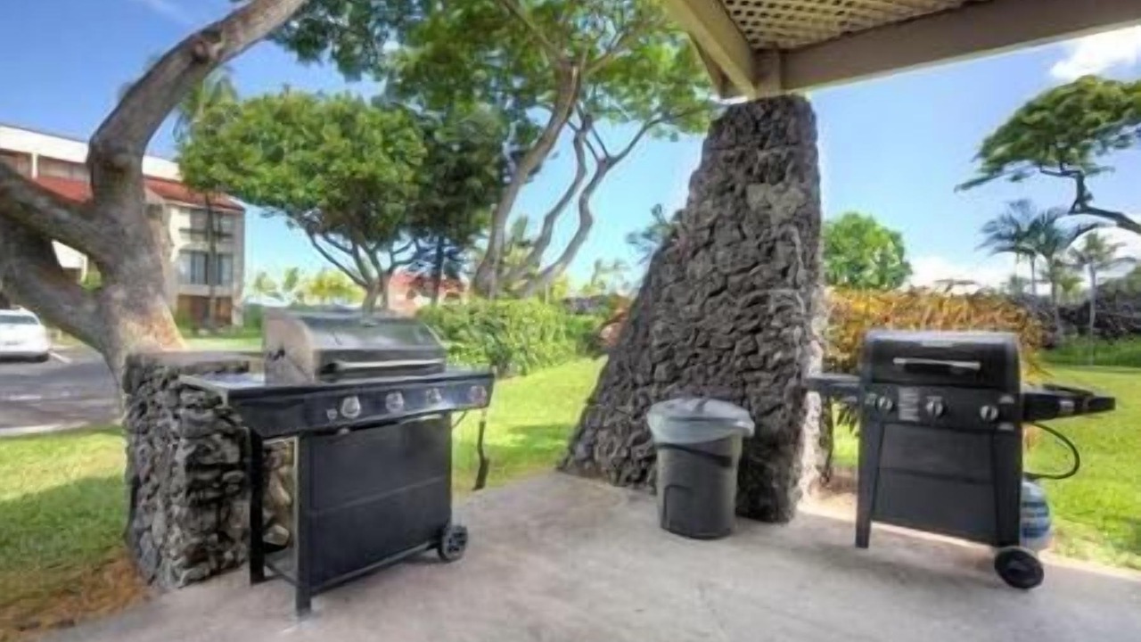 Photo of Outdoor in Kahaluu Bay