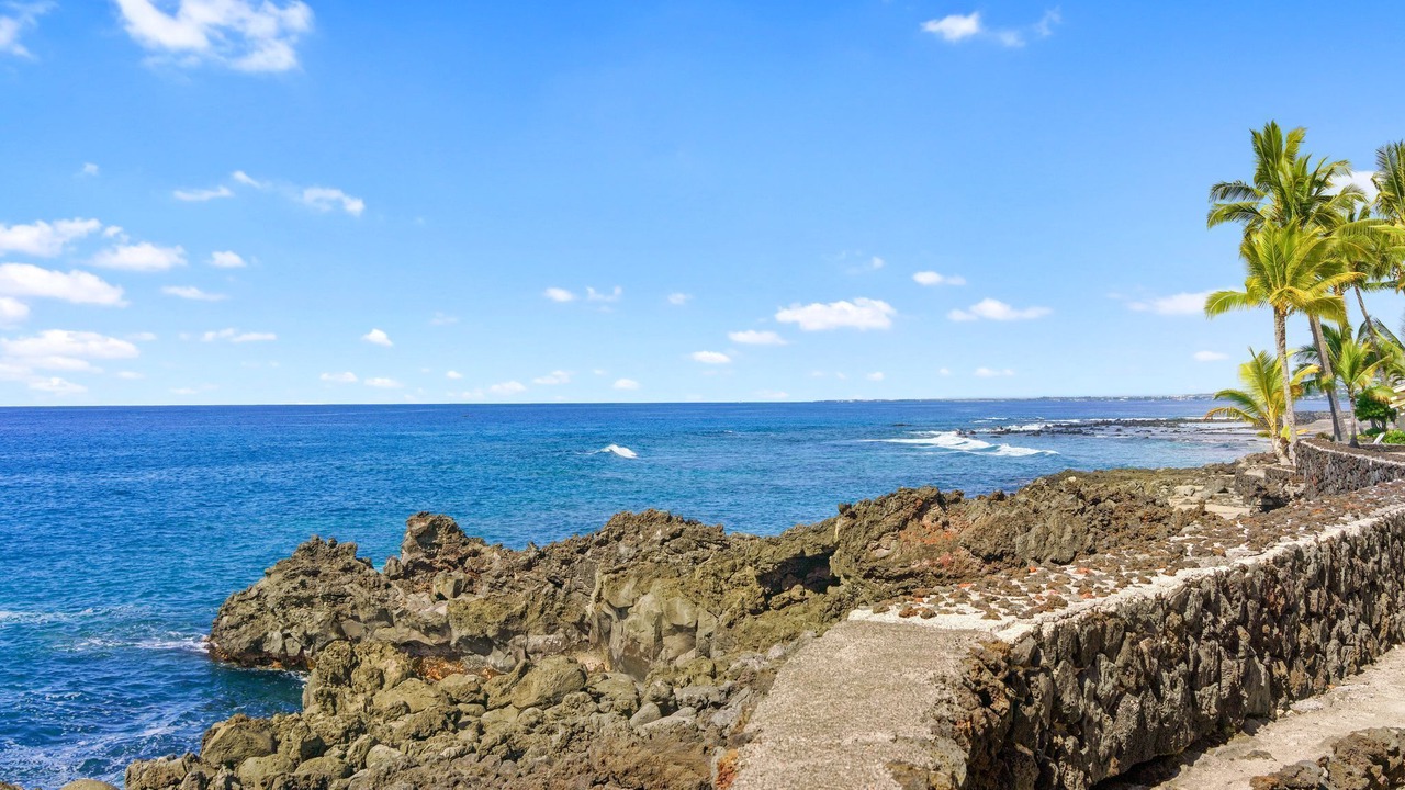 Photo of Others in Kahaluu Bay