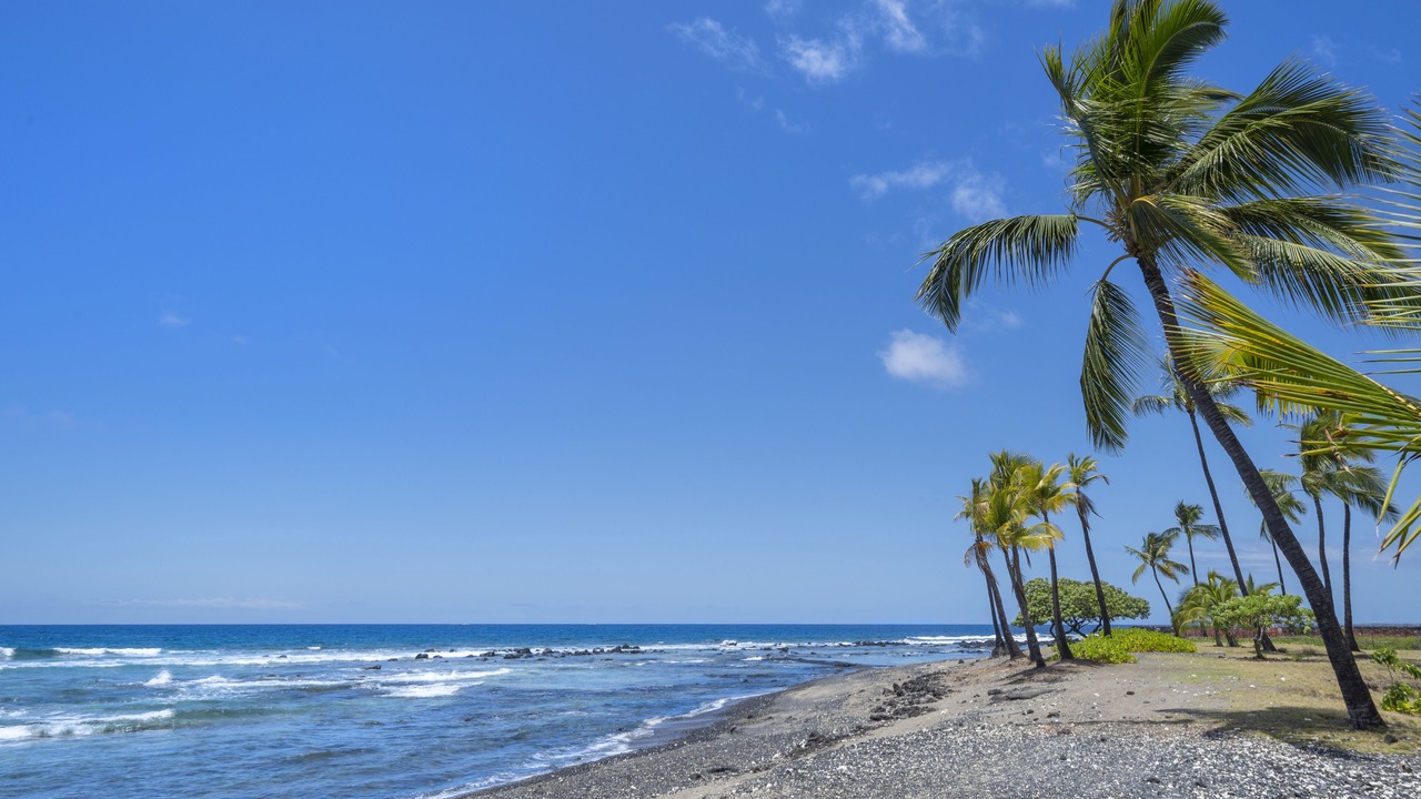 Photo of Others in Kahaluu Bay