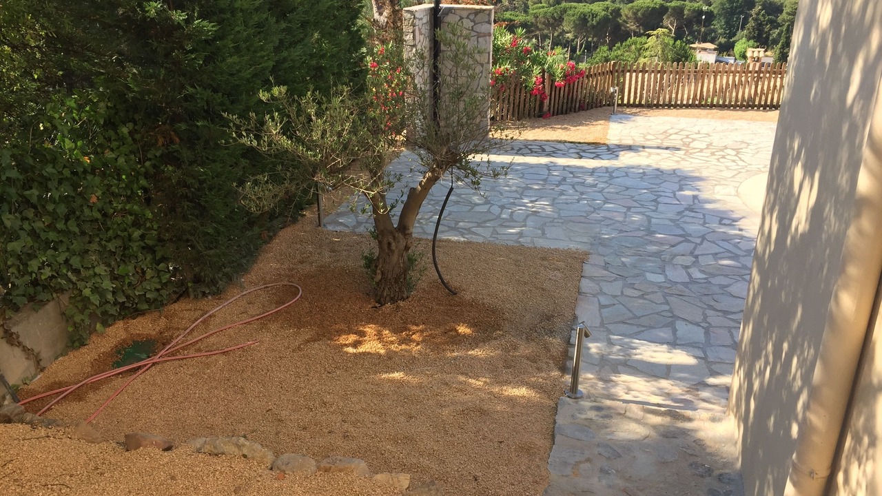 Photo of Outdoor in Rio d'Oro