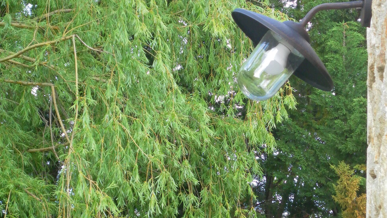 Photo of Outdoor in Lurs