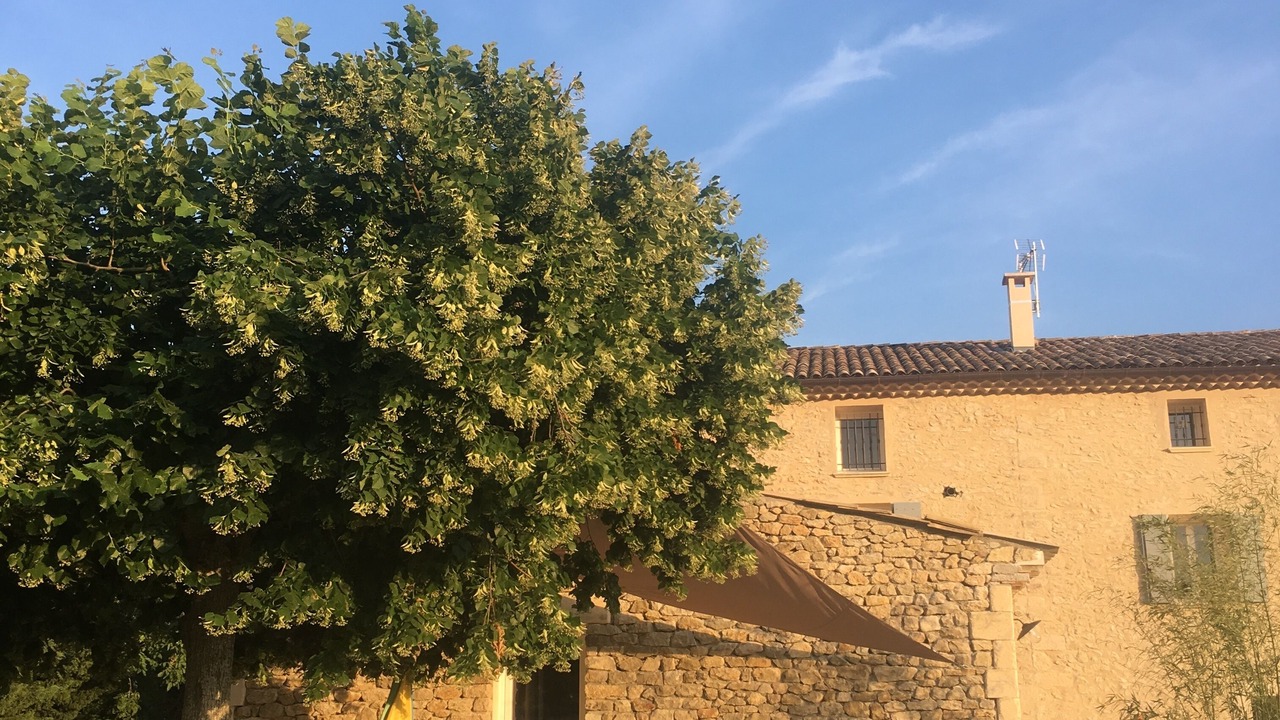 Photo of Outdoor in Lurs