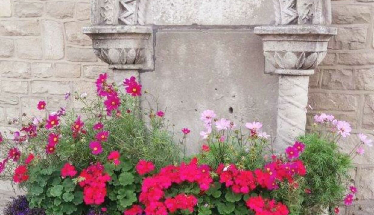 Photo of Outdoor in West Bay