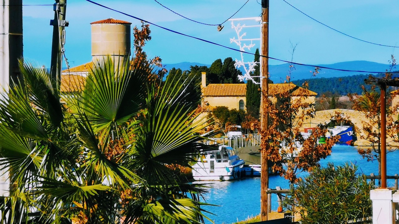 Photo of Others in Le Somail