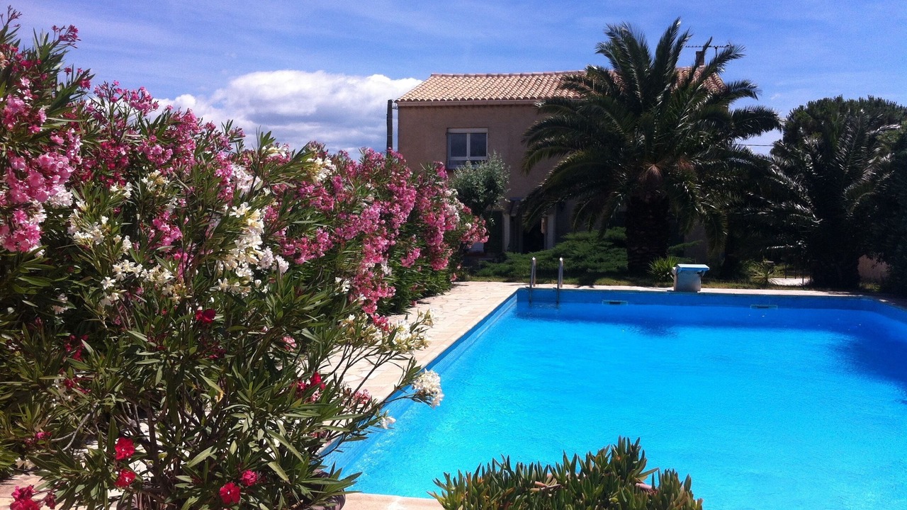 Photo of Outdoor in Marseillan
