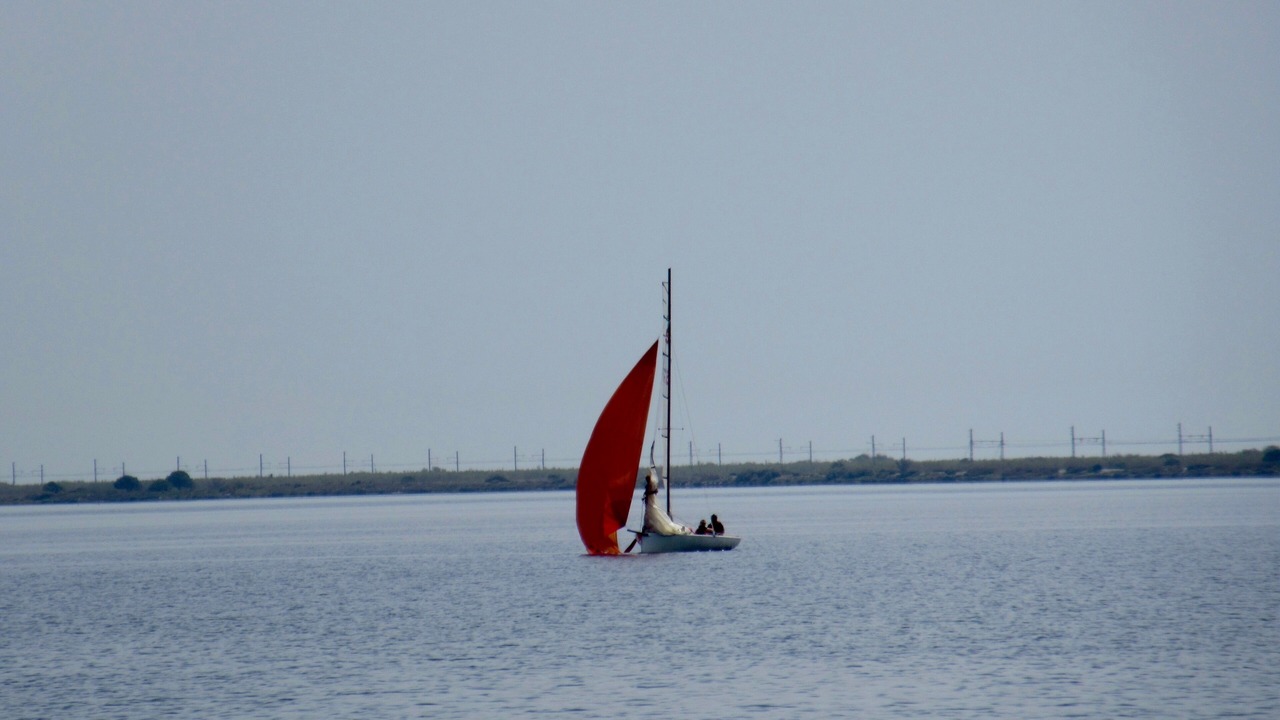 Photo of Others in Marseillan