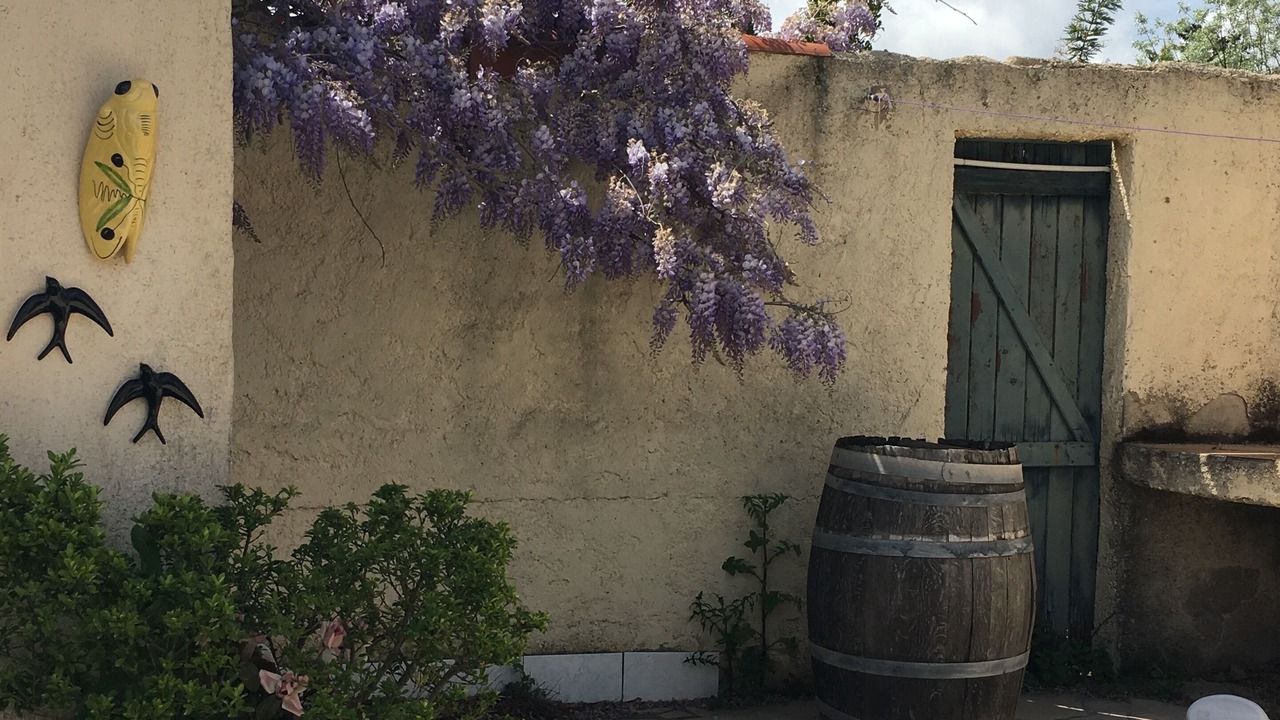Photo of Outdoor in Marseillan