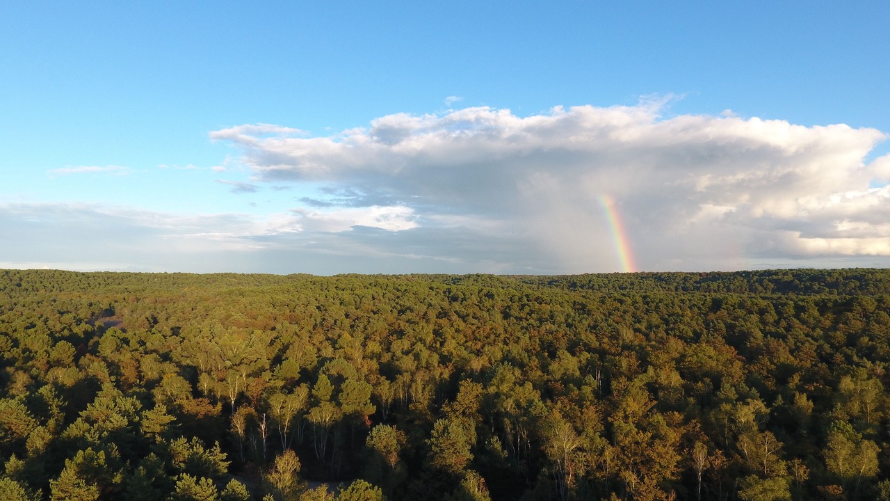 Photo of Outdoor in Milly-la-Foret