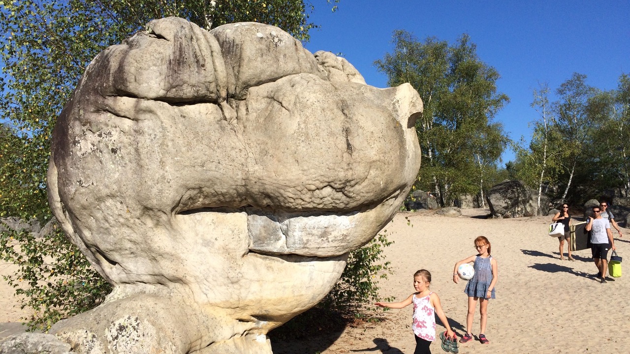 Photo of Others in Milly-la-Foret