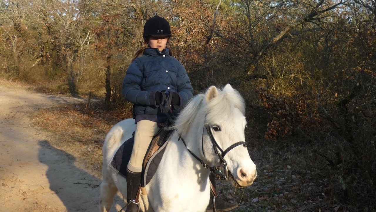 Photo of Others in Milly-la-Foret