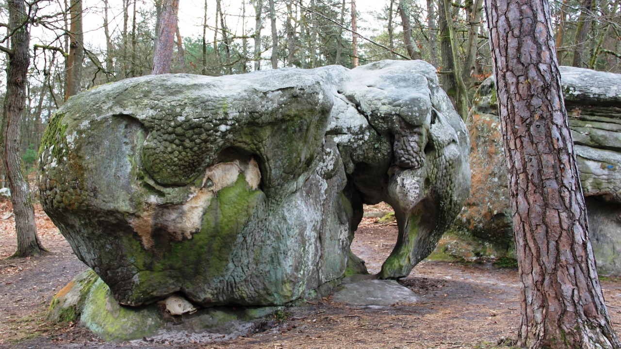 Photo of Outdoor in Milly-la-Foret