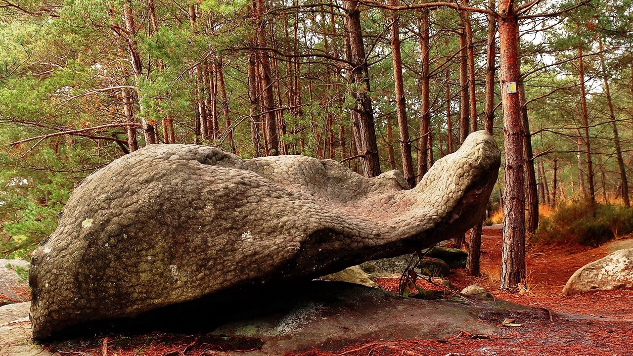 Photo of Outdoor in Milly-la-Foret