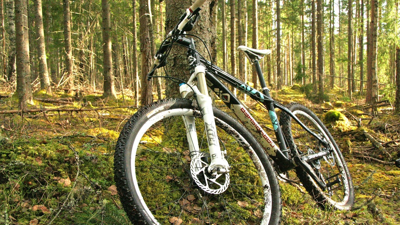 Photo of Others in Milly-la-Foret