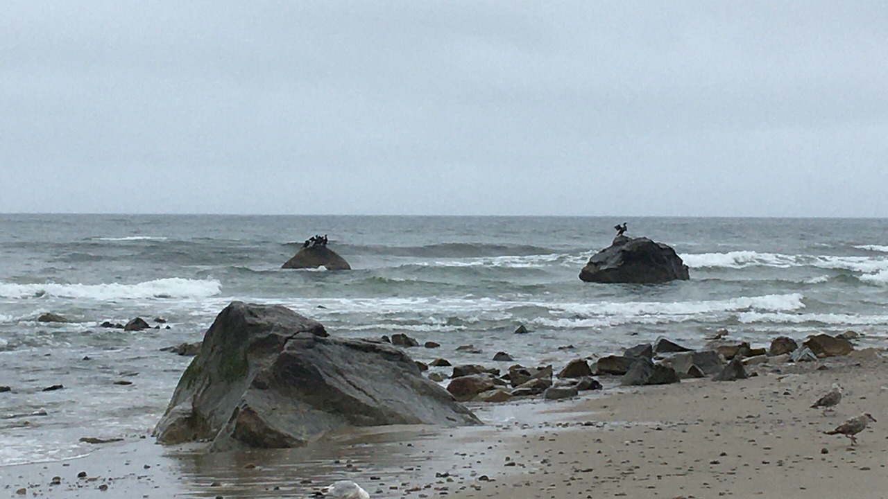 Photo of Others in Ocean Bluff-Brant Rock