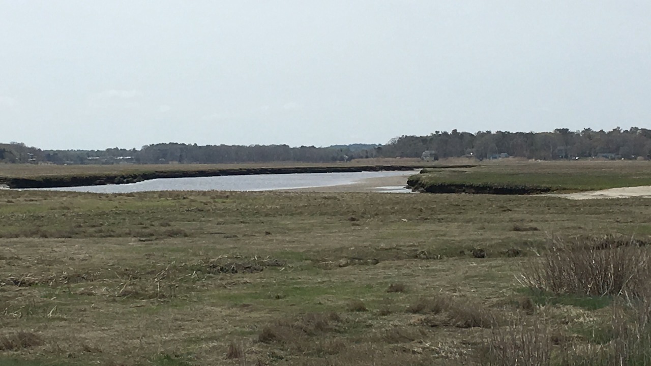 Photo of Others in Ocean Bluff-Brant Rock