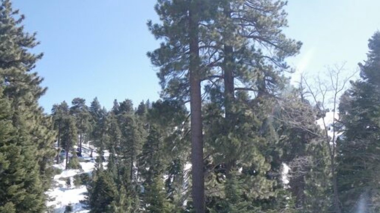 Photo of Outdoor in Upper Moonridge