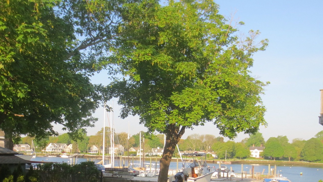 Photo of Others in Warren