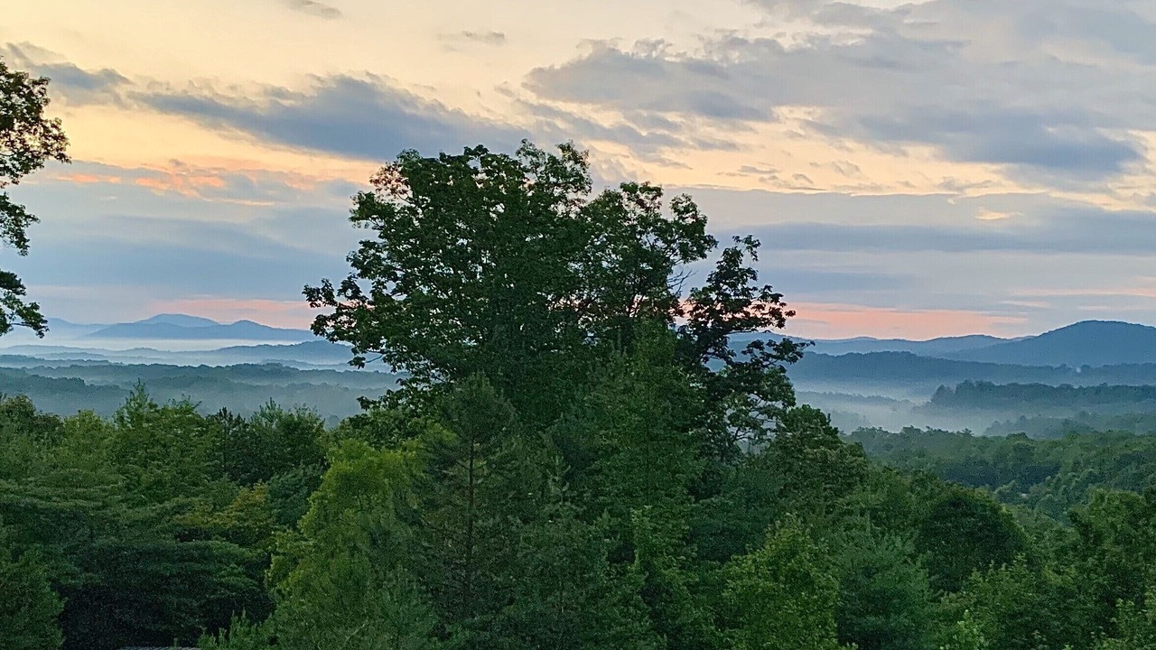 Photo of Others in Mineral Bluff