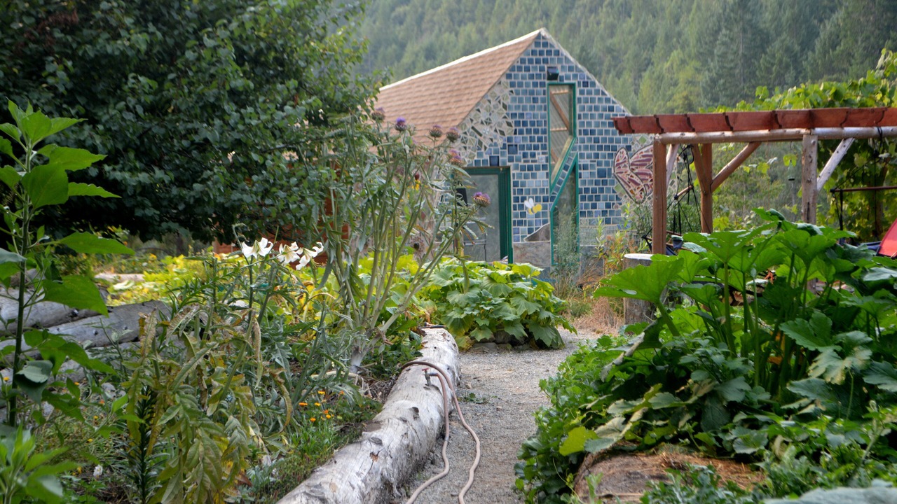 Photo of Outdoor in Gasquet