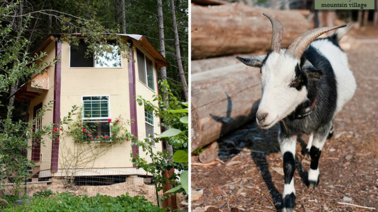 Photo of Outdoor in Gasquet