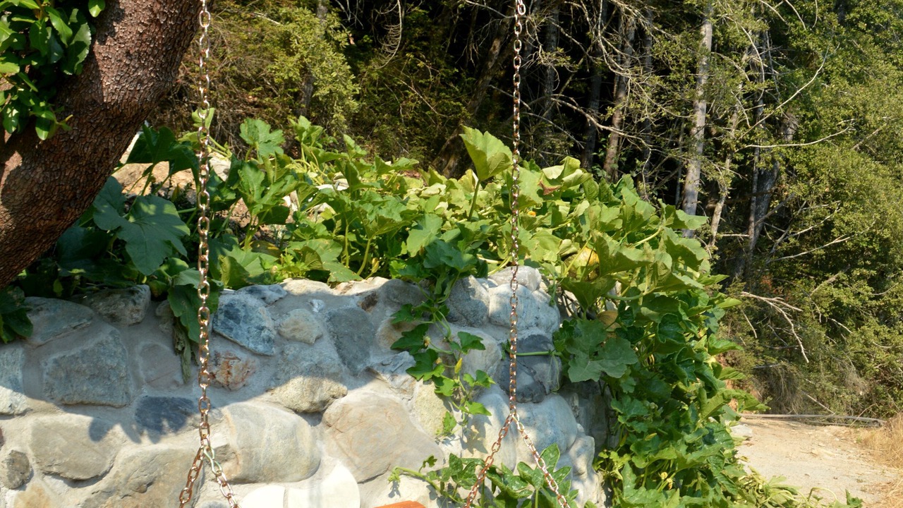 Photo of Outdoor in Gasquet