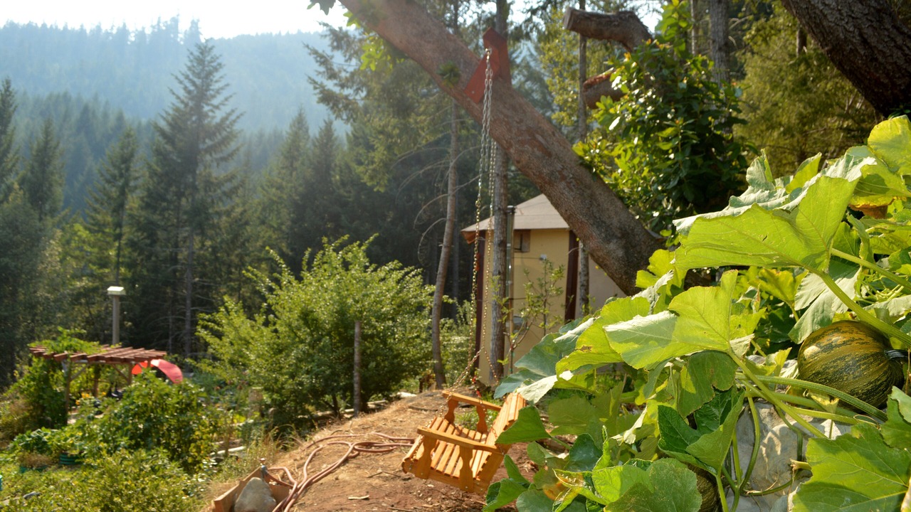 Photo of Outdoor in Gasquet