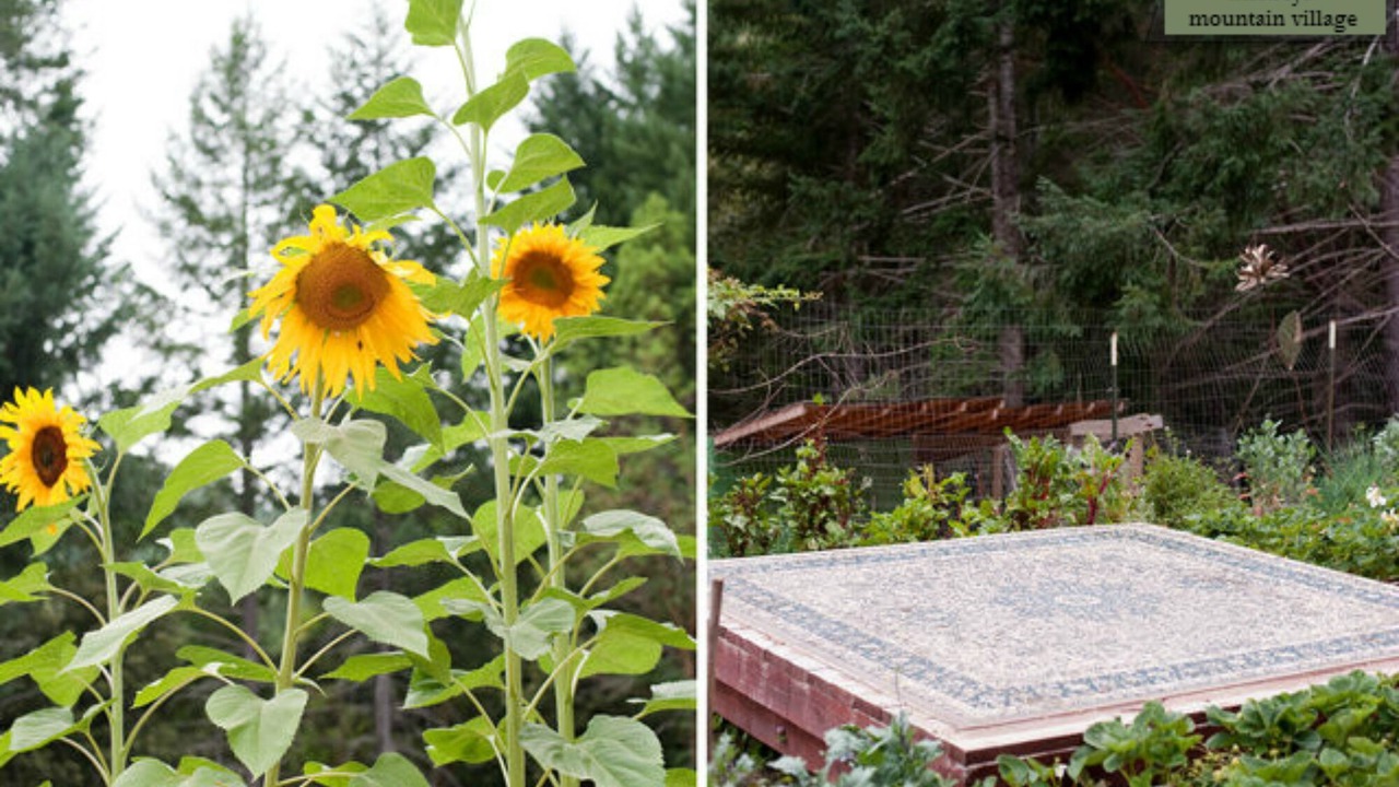 Photo of Outdoor in Gasquet