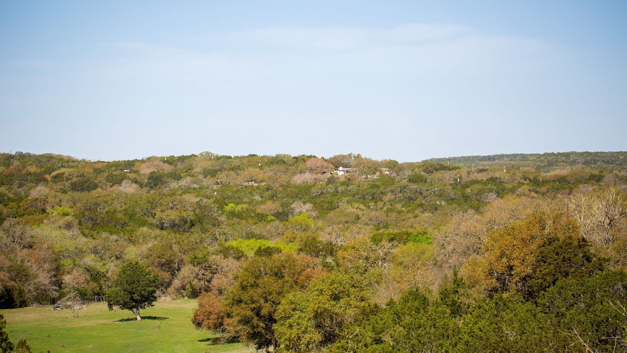 Photo of Others in Canyon Lake