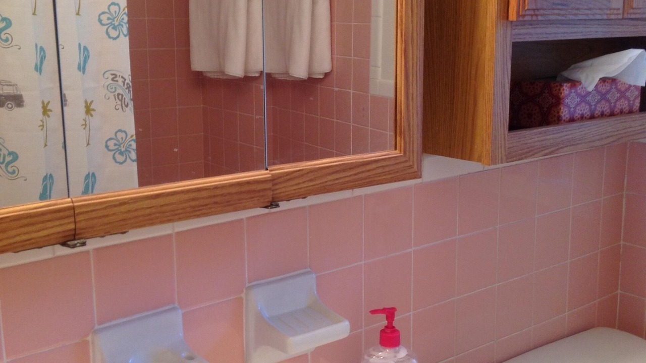 Photo of Bathroom in Safety Harbor
