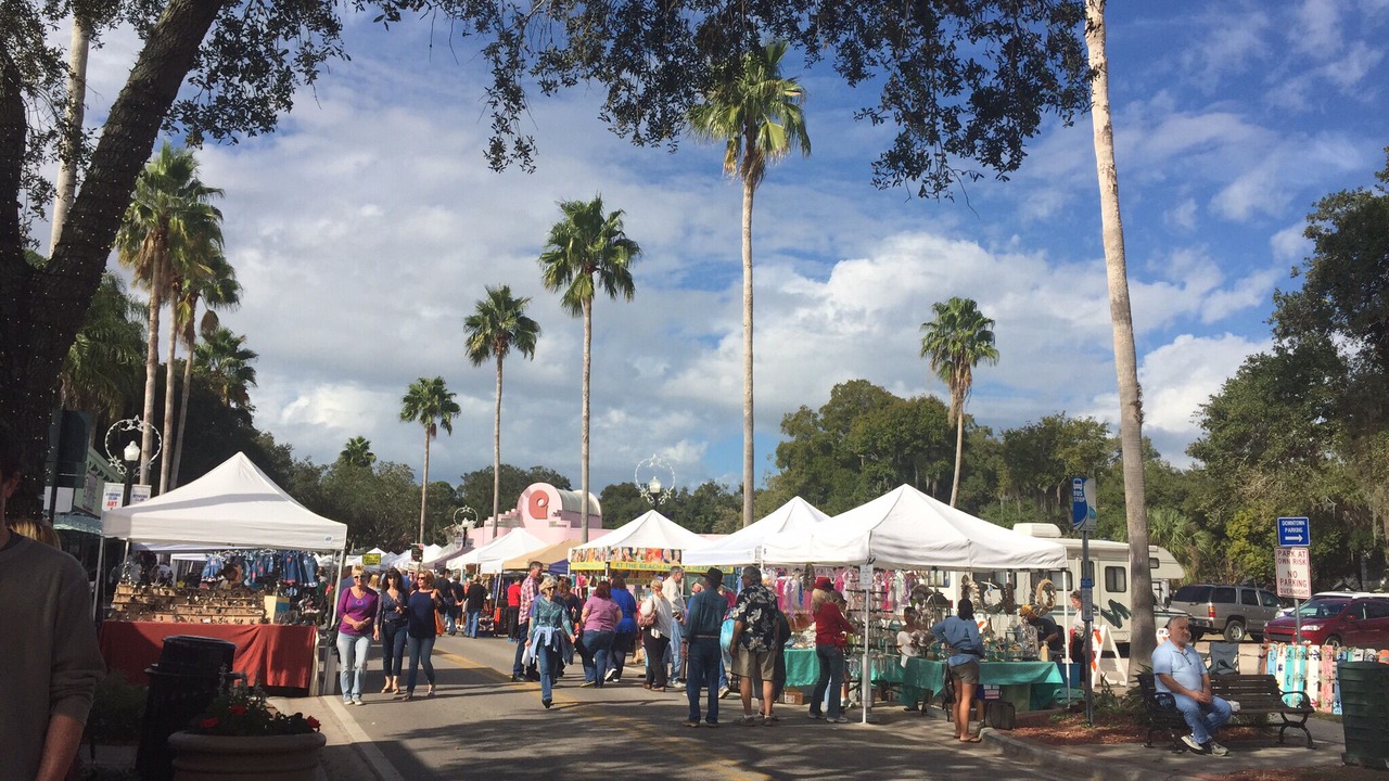 Photo of Others in Safety Harbor