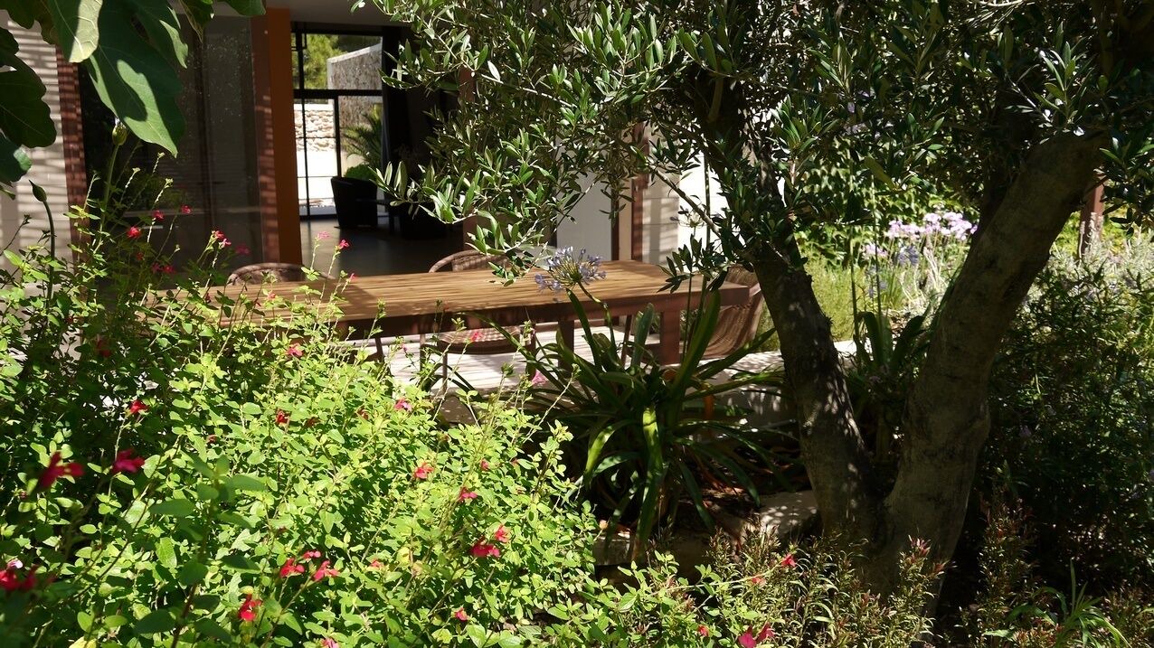 Photo of Outdoor in Le Somail