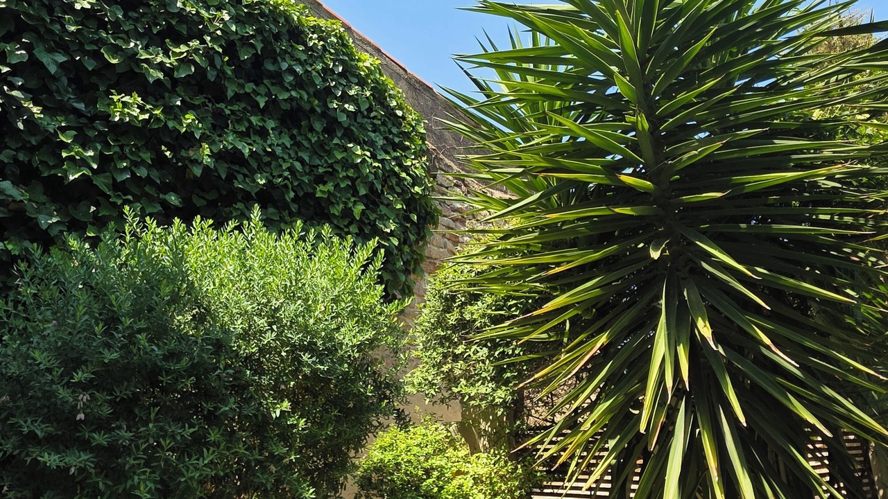 Photo of Outdoor in Le Somail