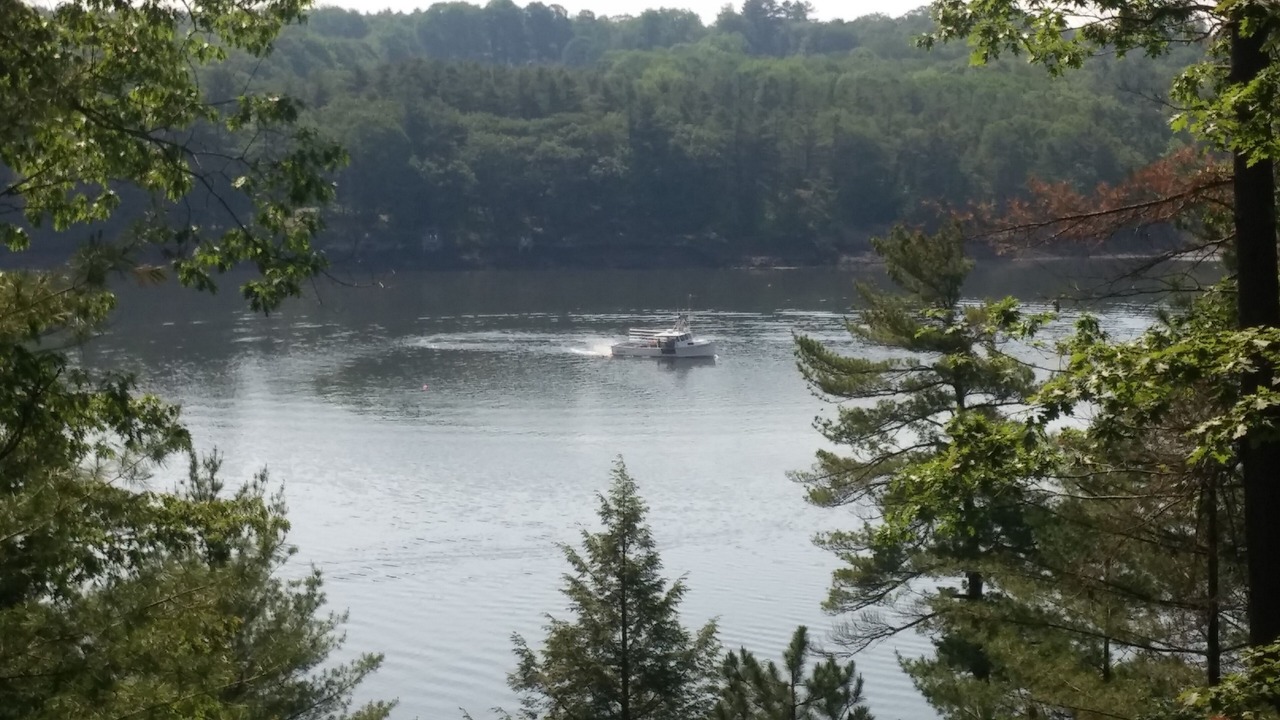 Photo of Others in Wiscasset
