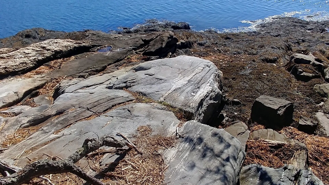 Photo of Others in Wiscasset