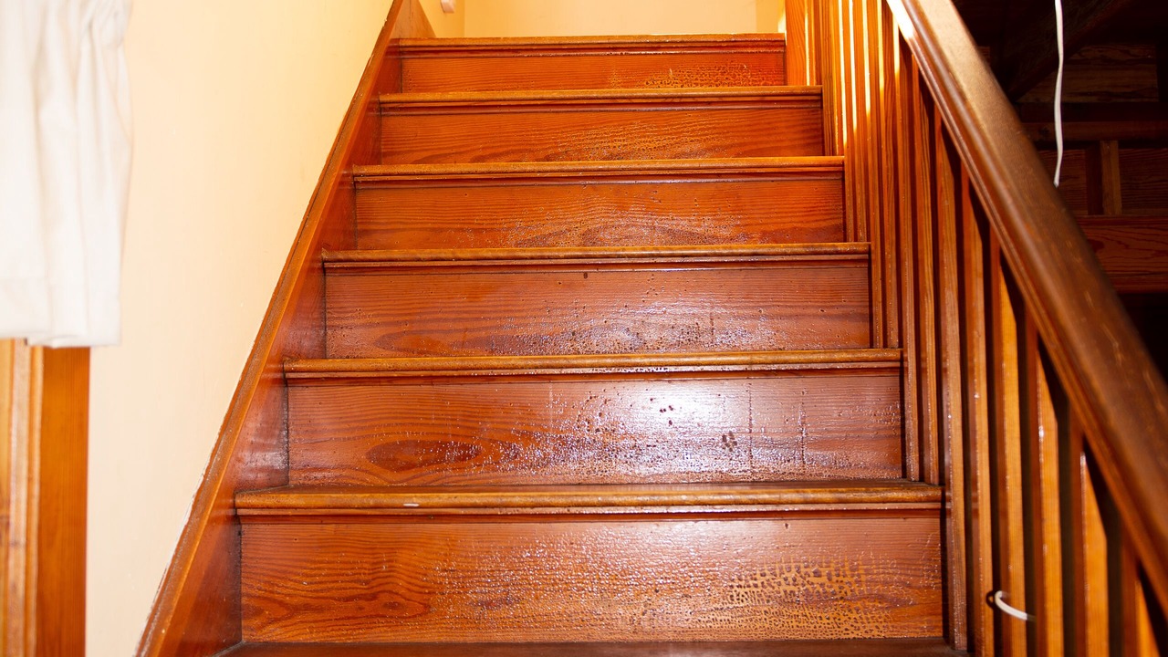 Photo of Others in Augusta