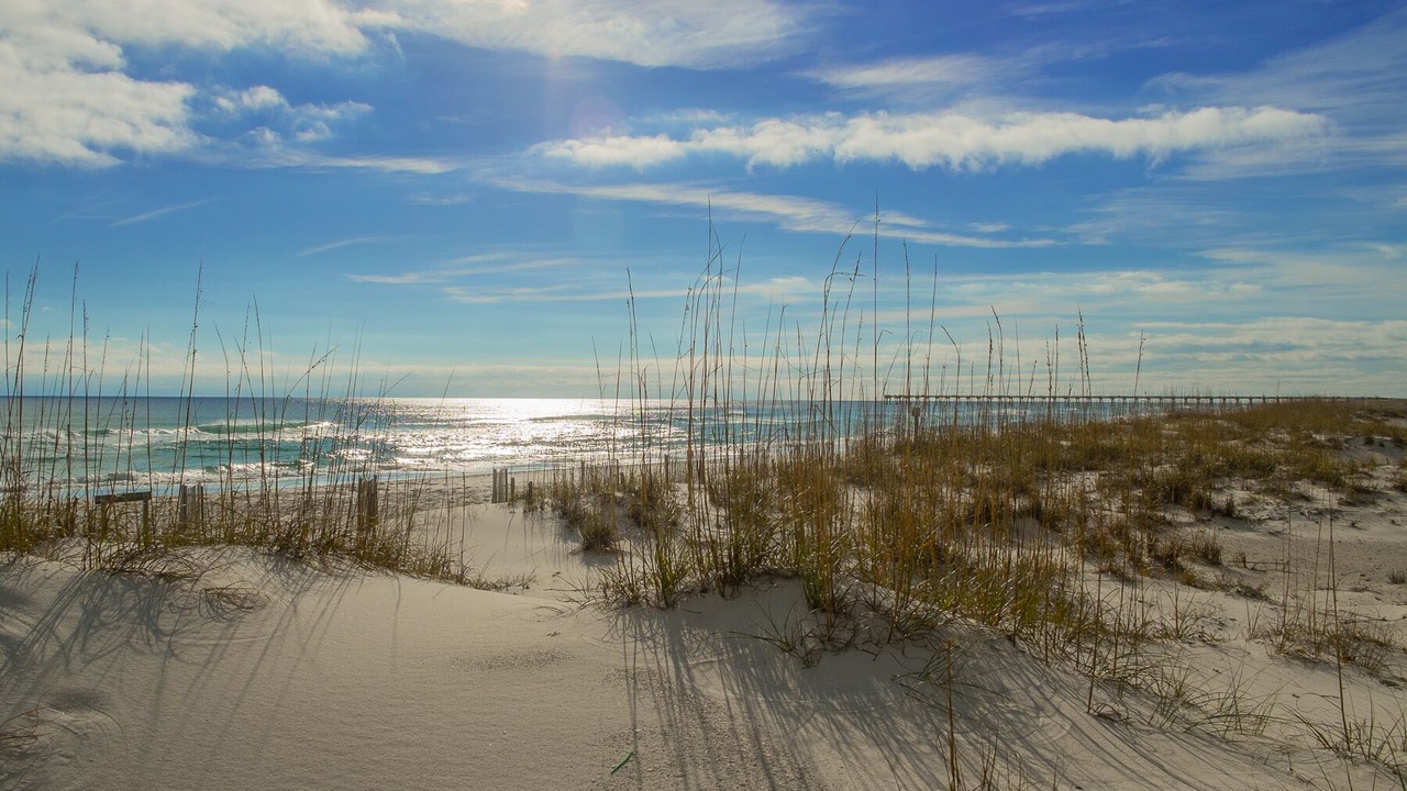 Photo of Others in Pensacola Beach