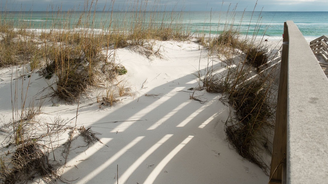 Photo of Others in Pensacola Beach