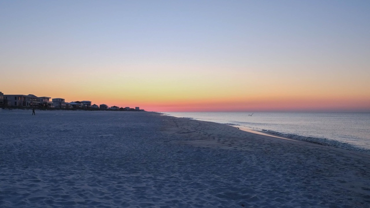 Photo of Others in Pensacola Beach