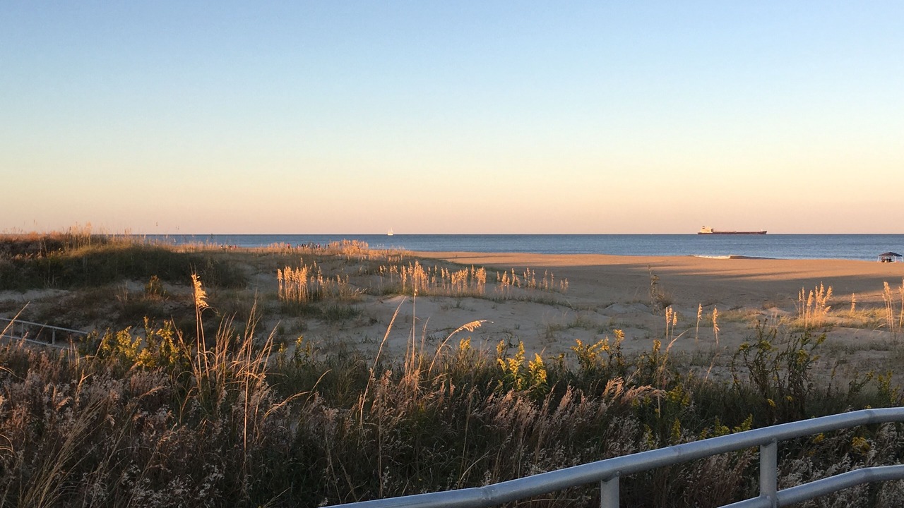 Photo of Others in Northeast Virginia Beach