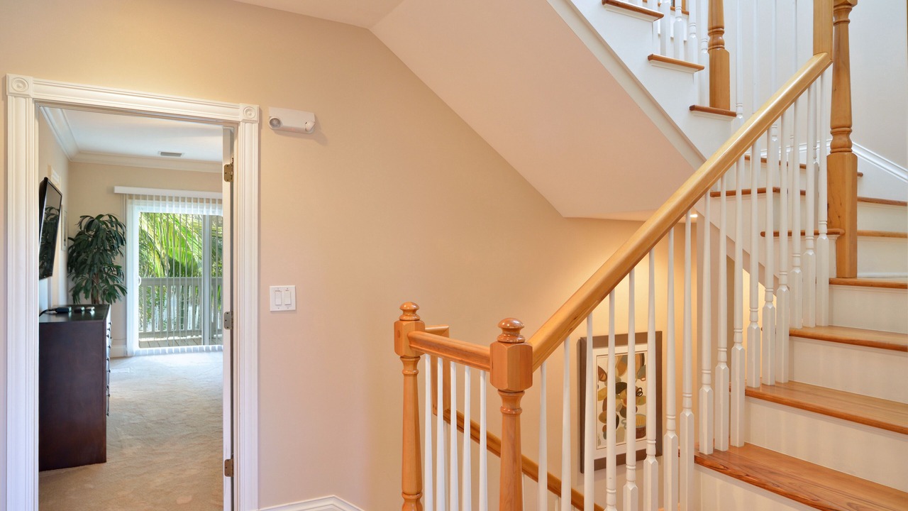 Photo of Others in Meadows