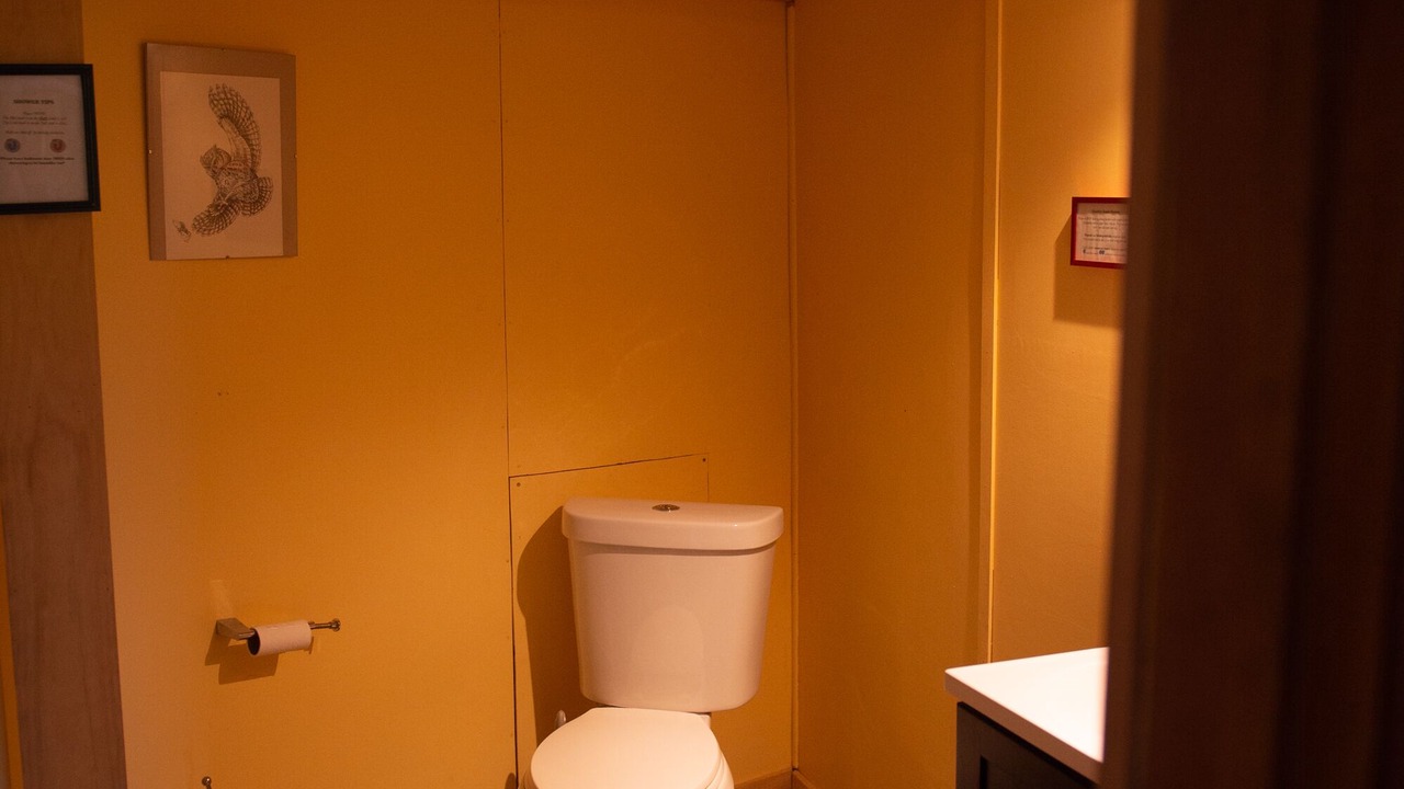 Photo of Bathroom in Trumansburg
