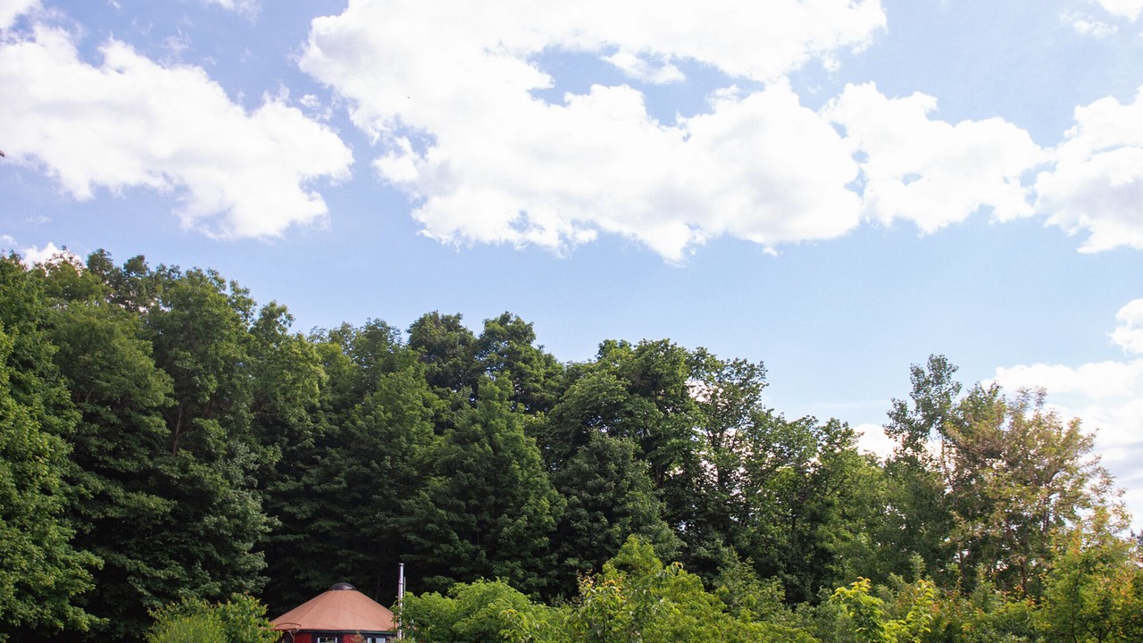 Photo of Others in Trumansburg